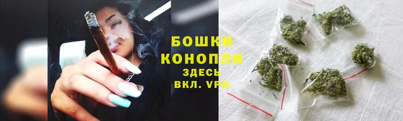 Шишки марихуана THC 21%  Светогорск 